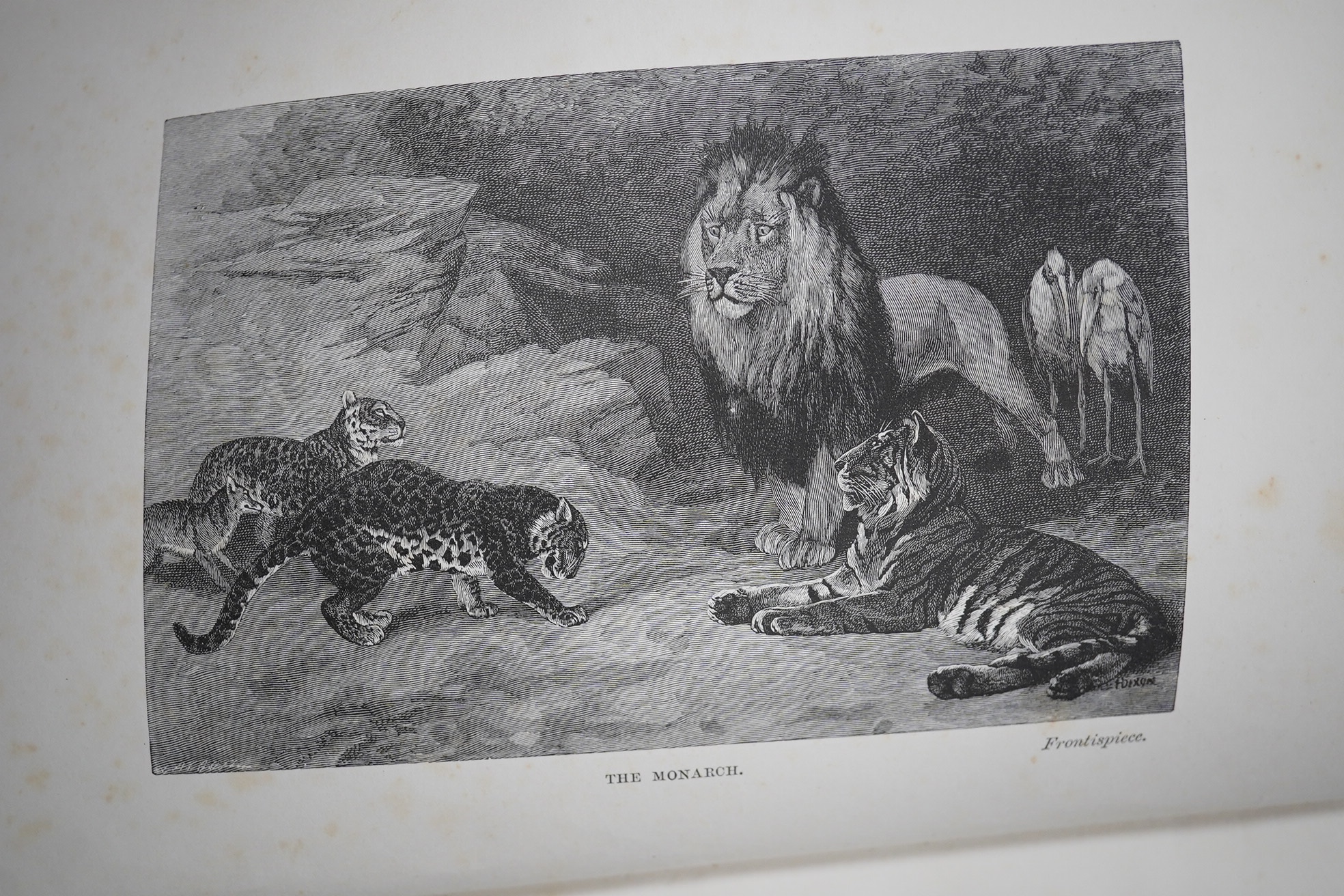 Baker, Sir Samuel W. - Wild Beasts and their ways: reminiscences of Europe, Asia, Africa, and America. 2 vols. title illus. & 28 plates: original gilt ruled and pictorial cloth. 1890